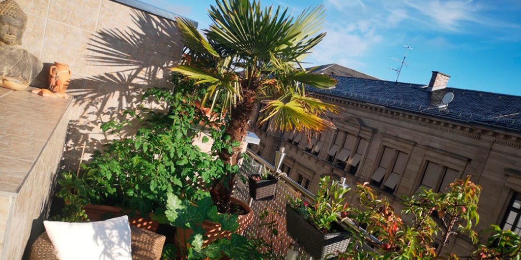 Ein Lieblicher Balkon optimal genutzt und bepflanzt