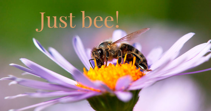 Werde ein fleißiges Bienchen mit Gelee Royal